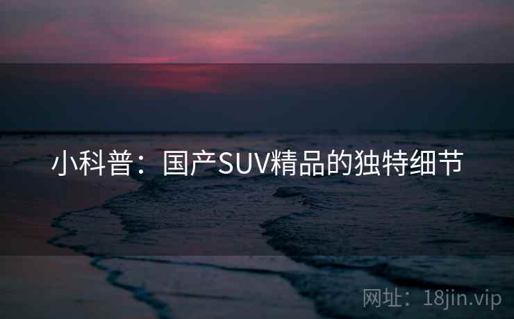 小科普：国产SUV精品的独特细节